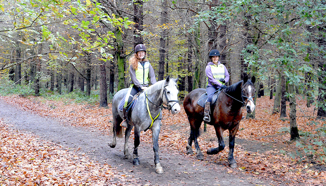 Image of horse riders on the Chevin