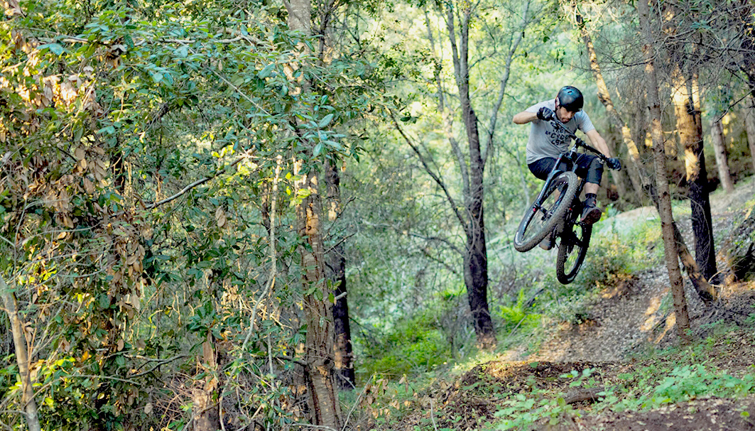 Mountain biker on the Chevin